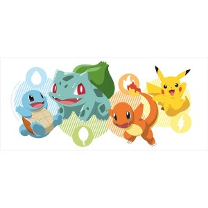 POKEMON Pikachu and starters foto